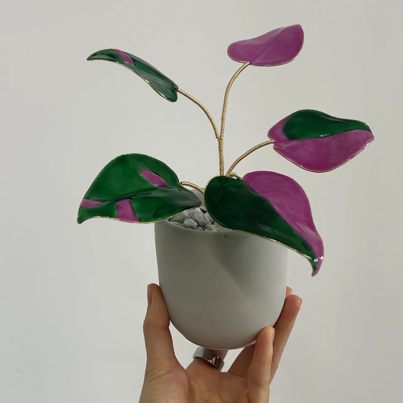 Pink Princess Philodendron Houseplant Set (uv reactive) | PREORDER