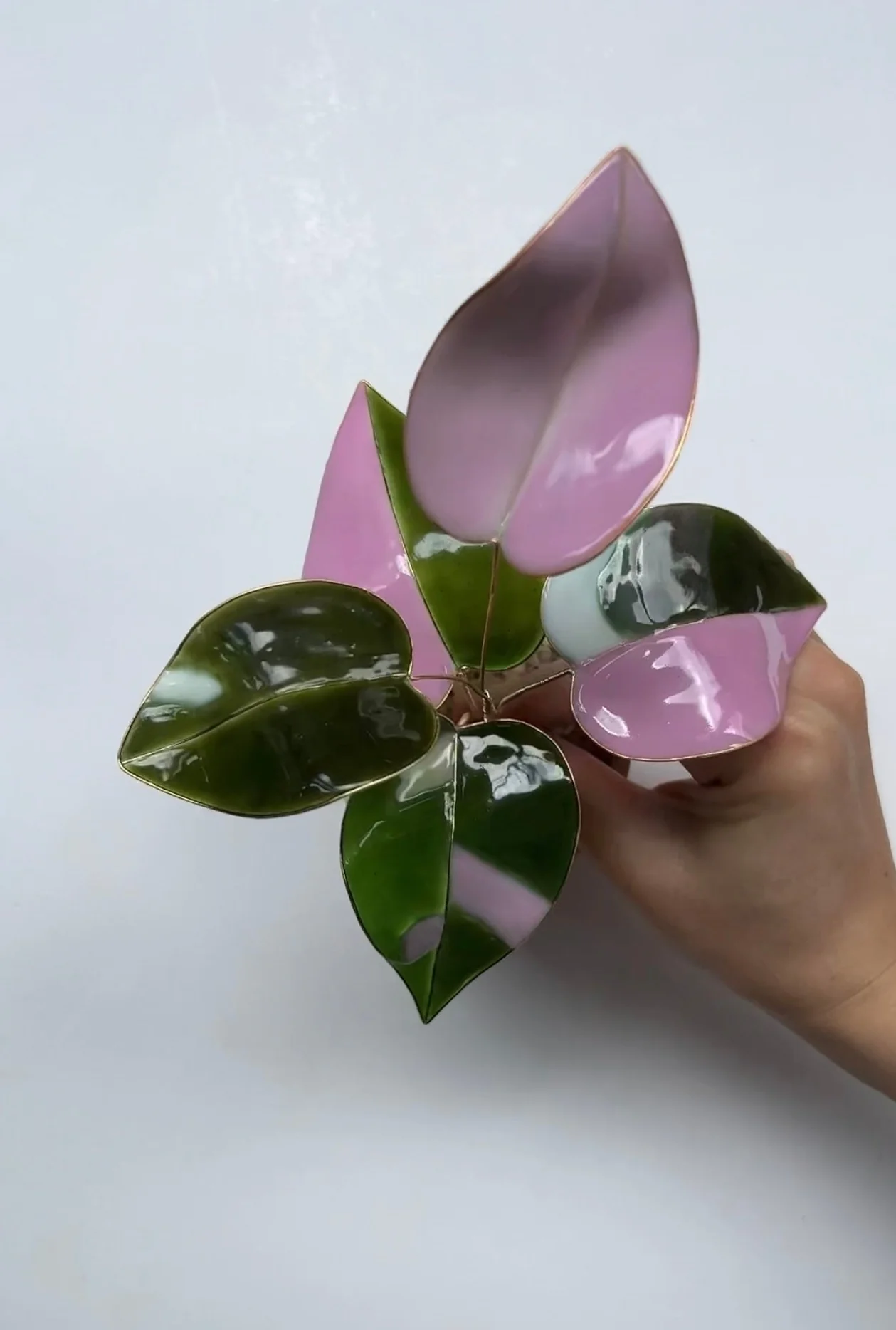 Pink Princess Philodendron Houseplant Set (uv reactive) | PREORDER - Image 10