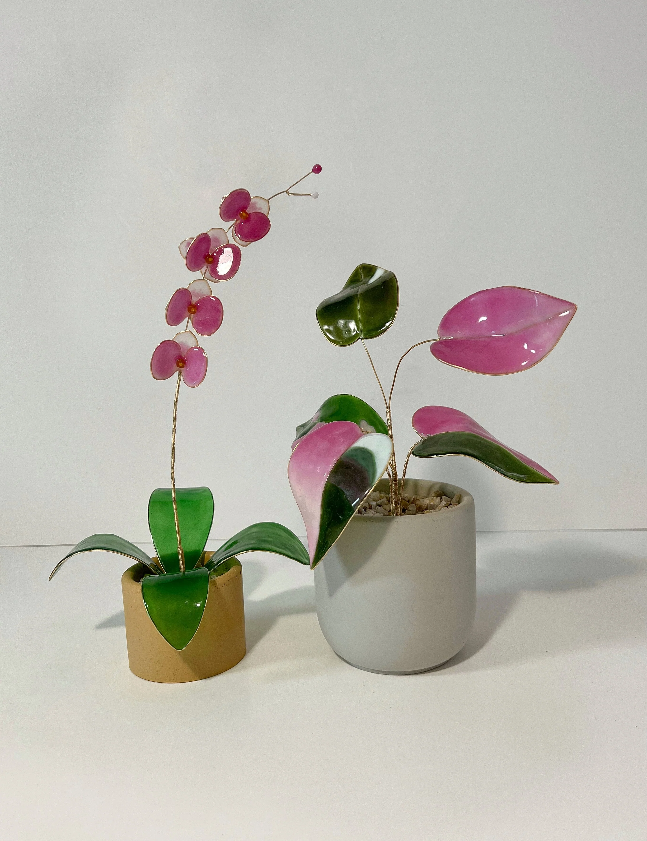 Pink Princess Philodendron Houseplant Set (uv reactive) | PREORDER - Image 12