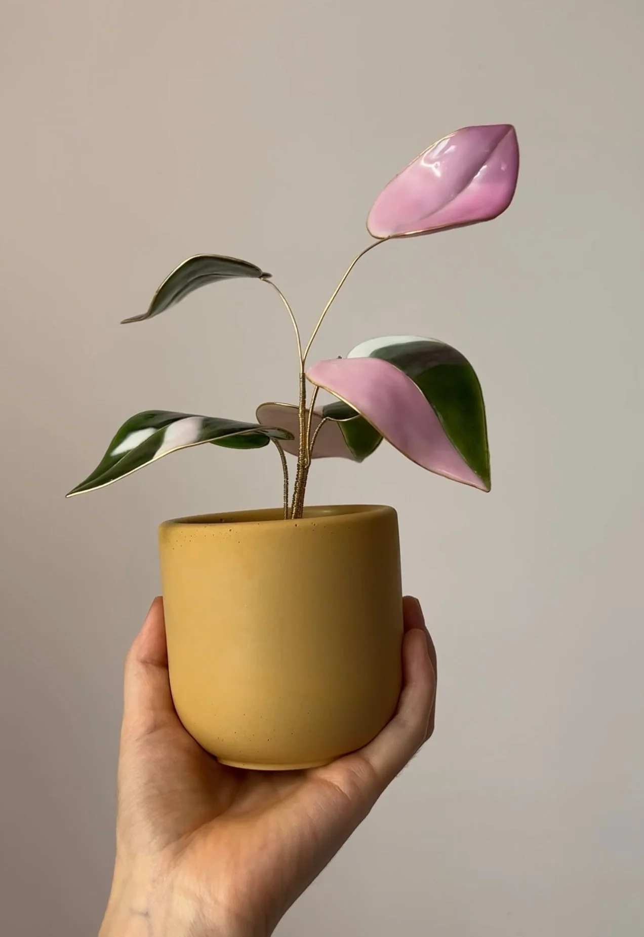 Pink Princess Philodendron Houseplant Set (uv reactive) | PREORDER - Image 15