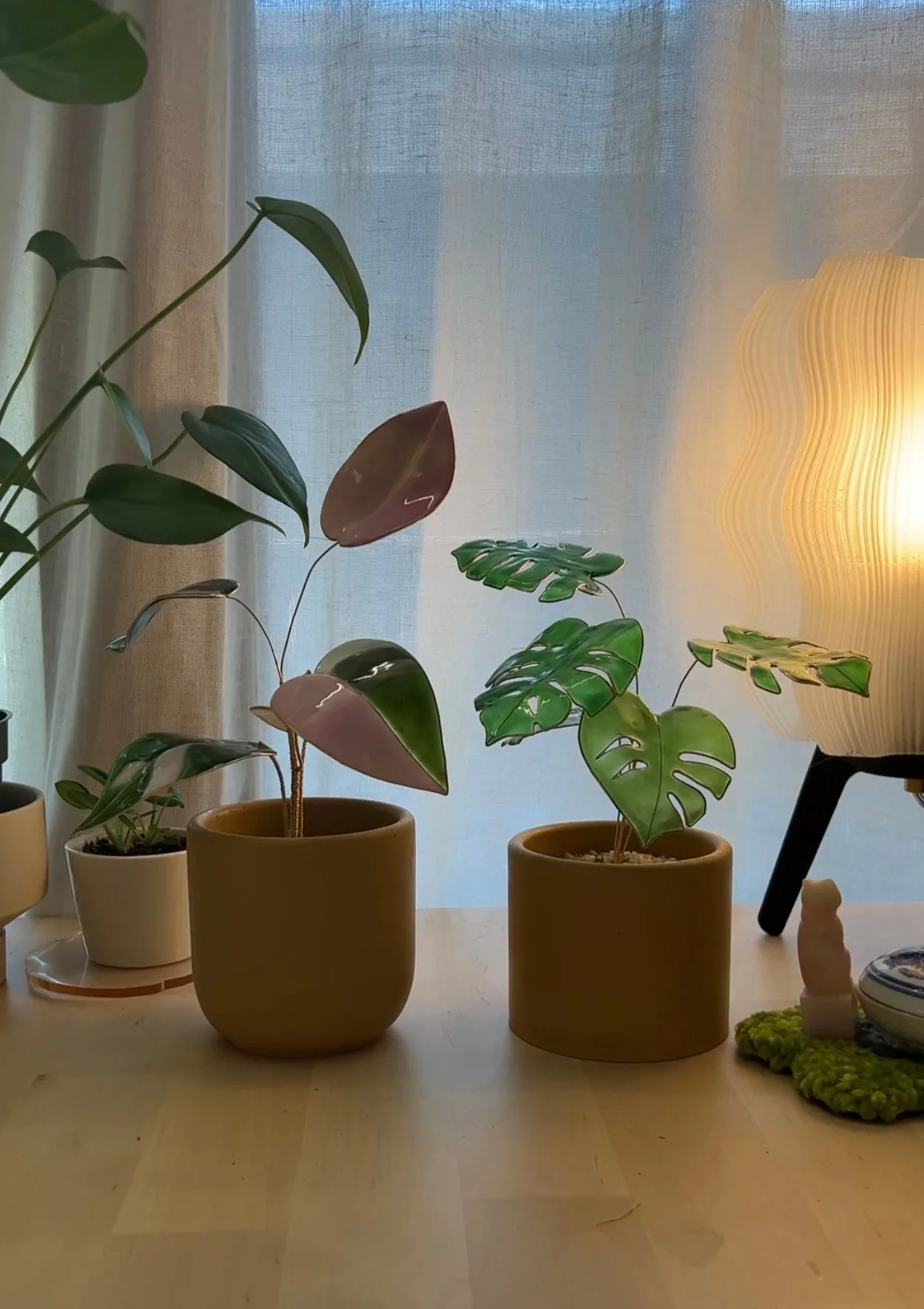 Pink Princess Philodendron Houseplant Set (uv reactive) | PREORDER - Image 18