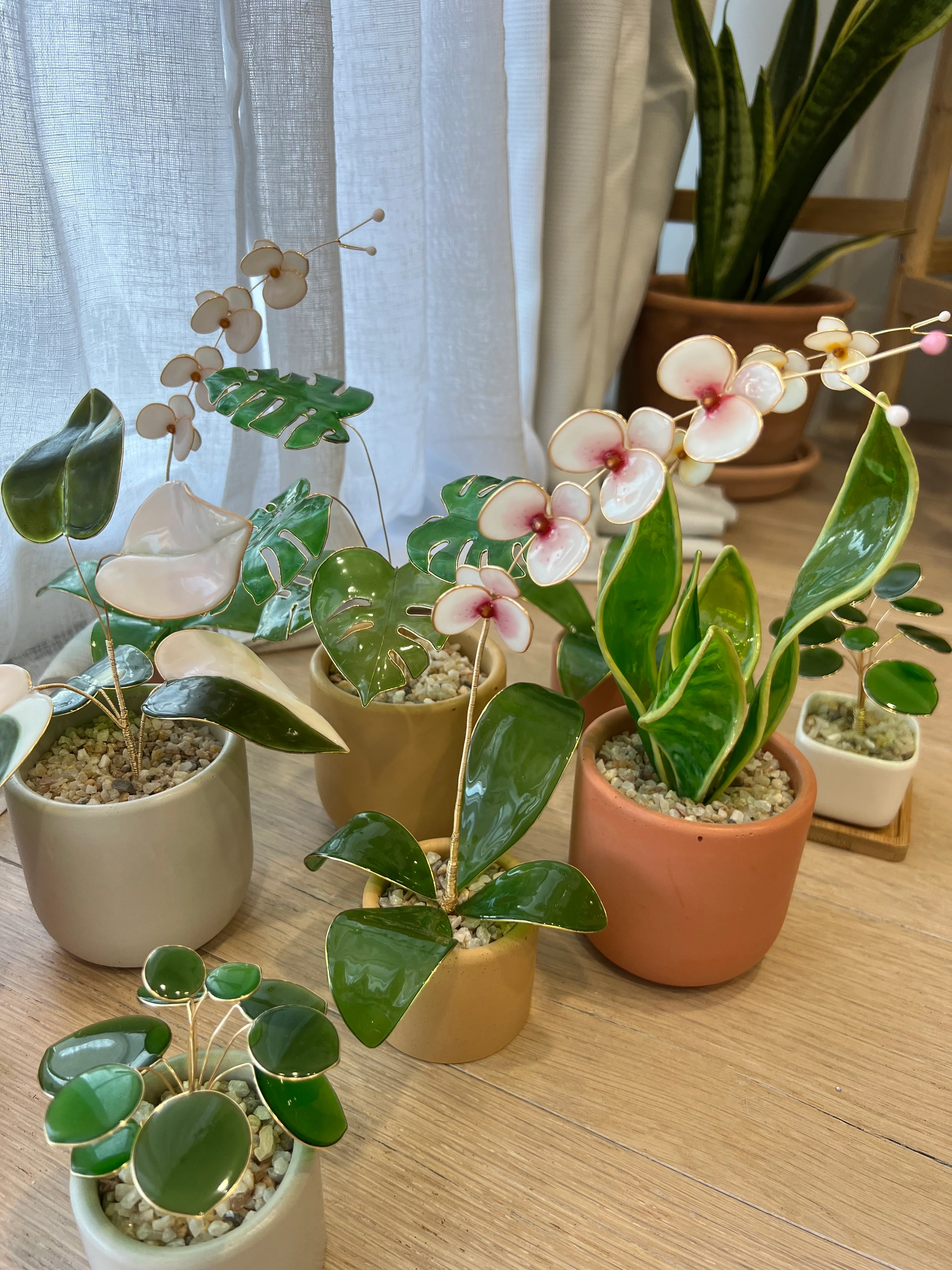 Pink Princess Philodendron Houseplant Set (uv reactive) | PREORDER - Image 20