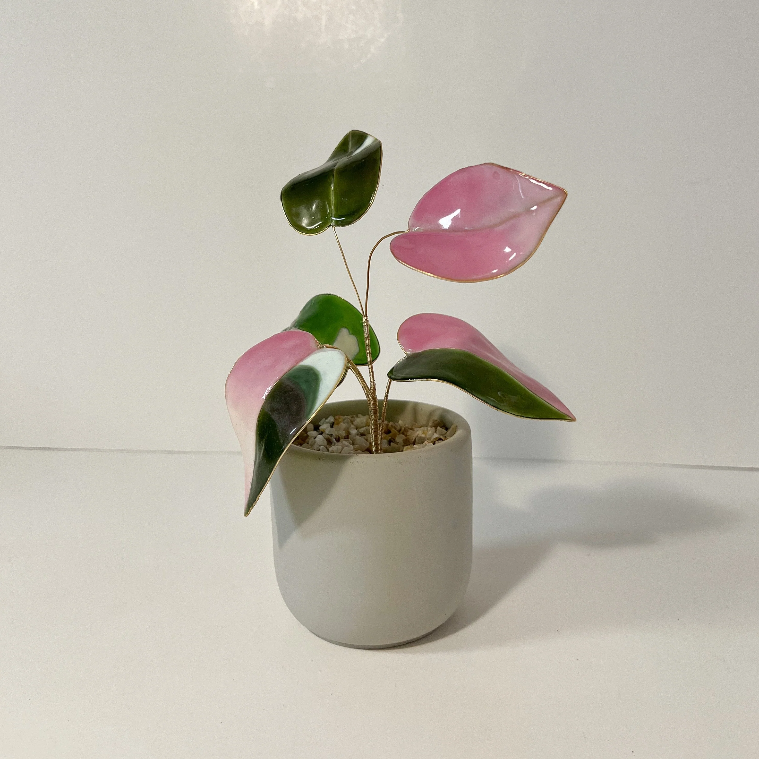 Pink Princess Philodendron Houseplant Set (uv reactive) | PREORDER - Image 4