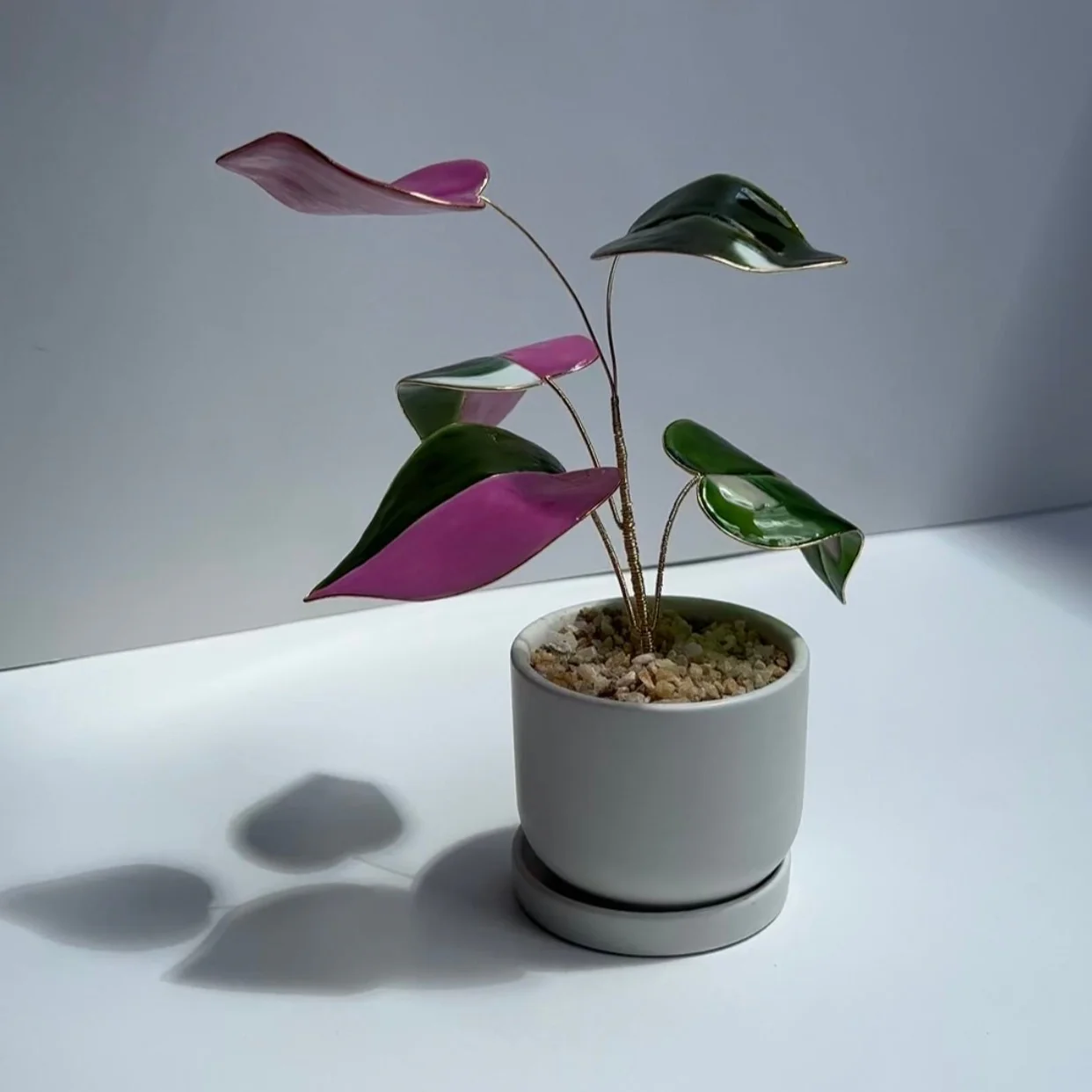Pink Princess Philodendron Houseplant Set (uv reactive) | PREORDER - Image 5