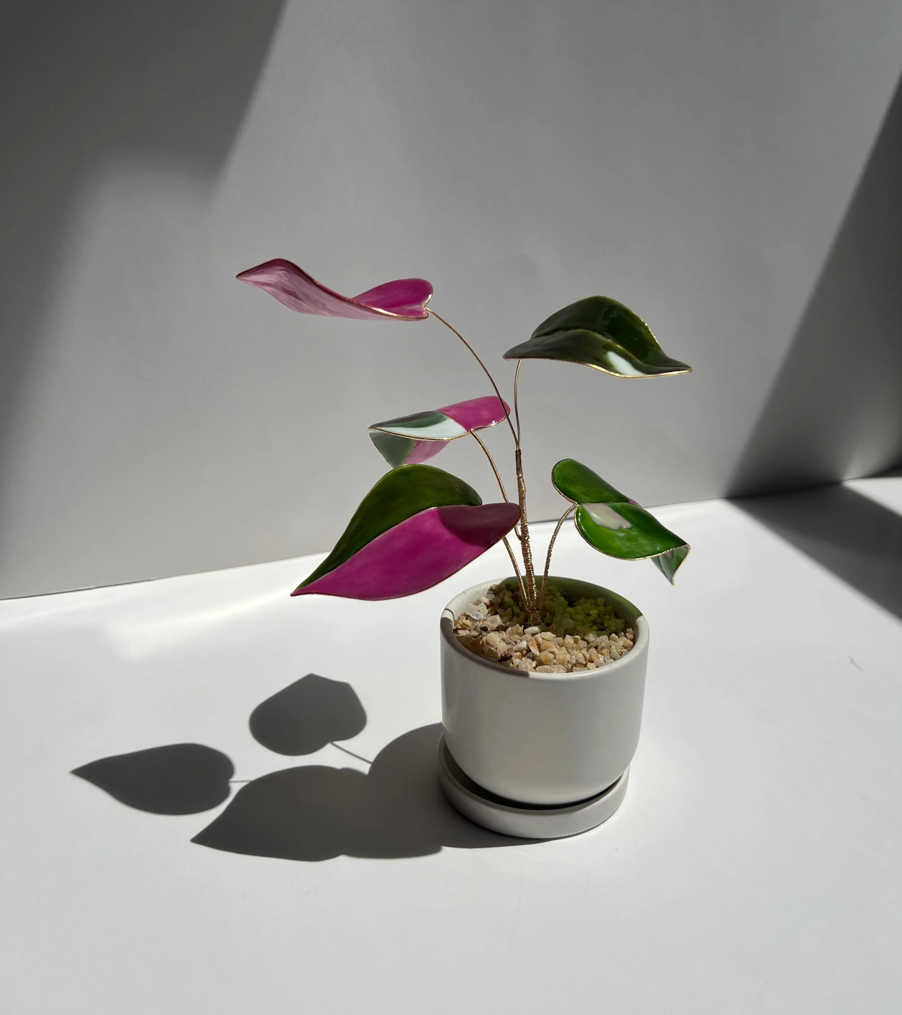 Pink Princess Philodendron Houseplant Set (uv reactive) | PREORDER - Image 6