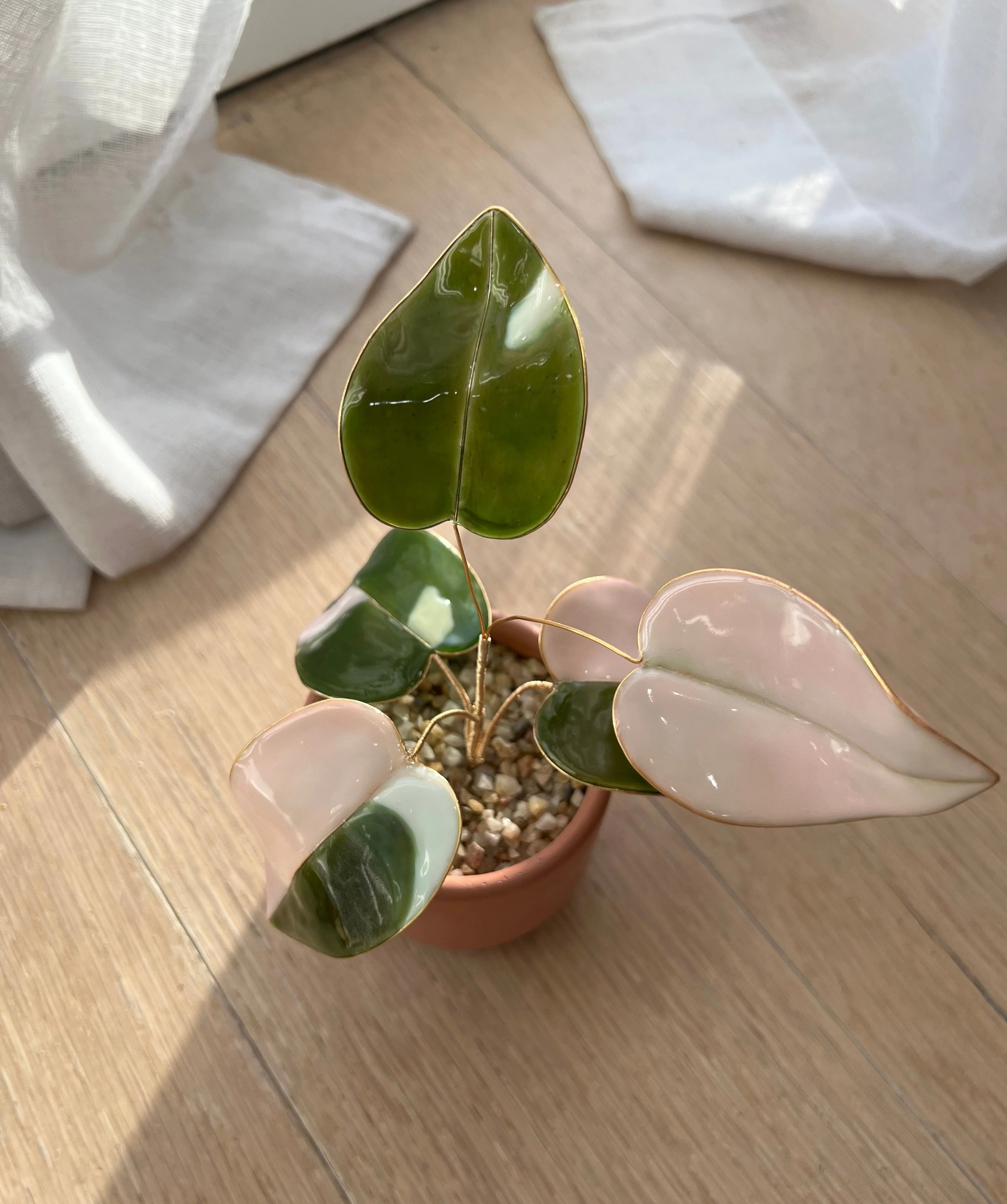 Pink Princess Philodendron Houseplant Set (uv reactive) | PREORDER - Image 7