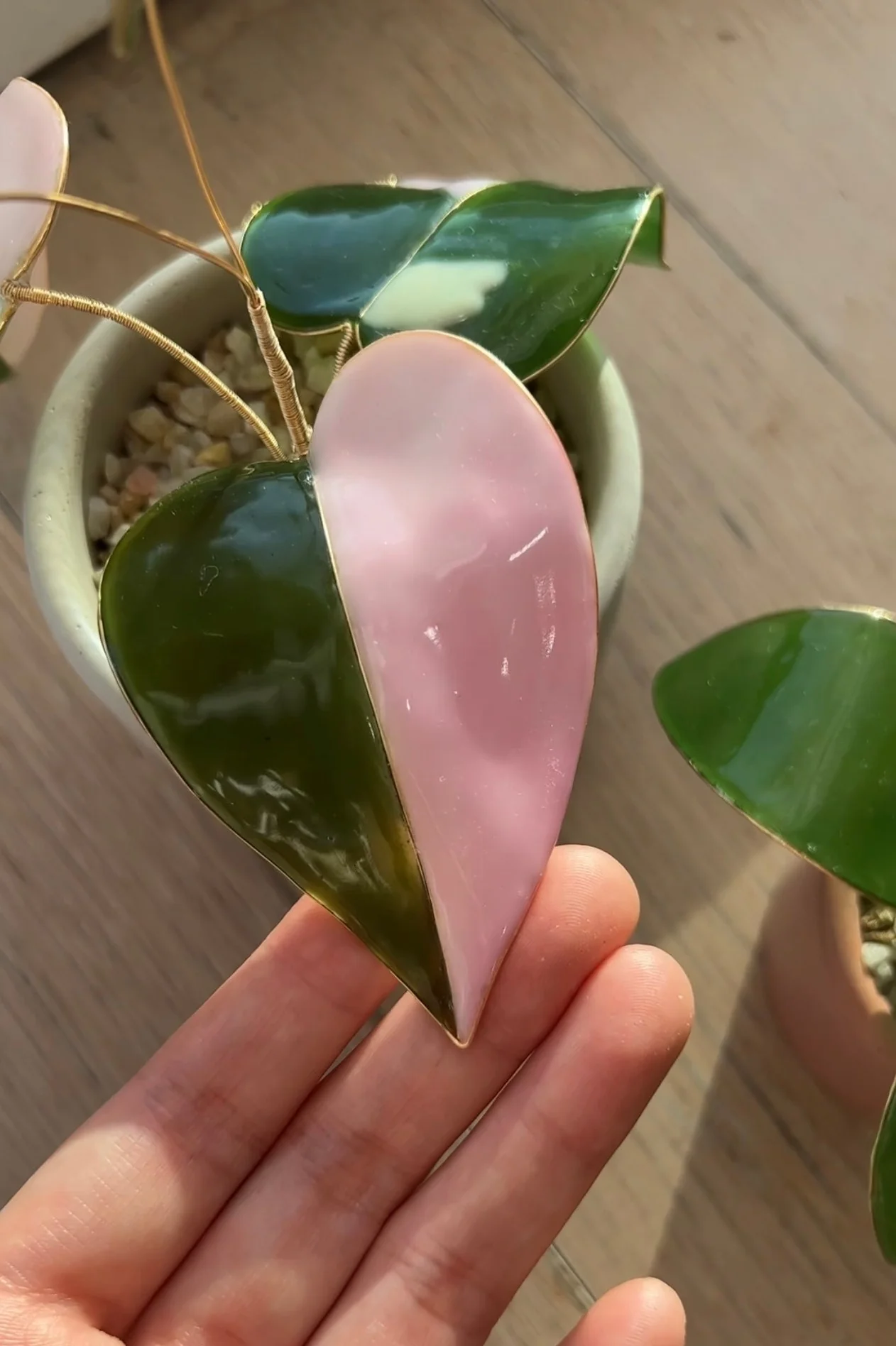 Pink Princess Philodendron Houseplant Set (uv reactive) | PREORDER - Image 8
