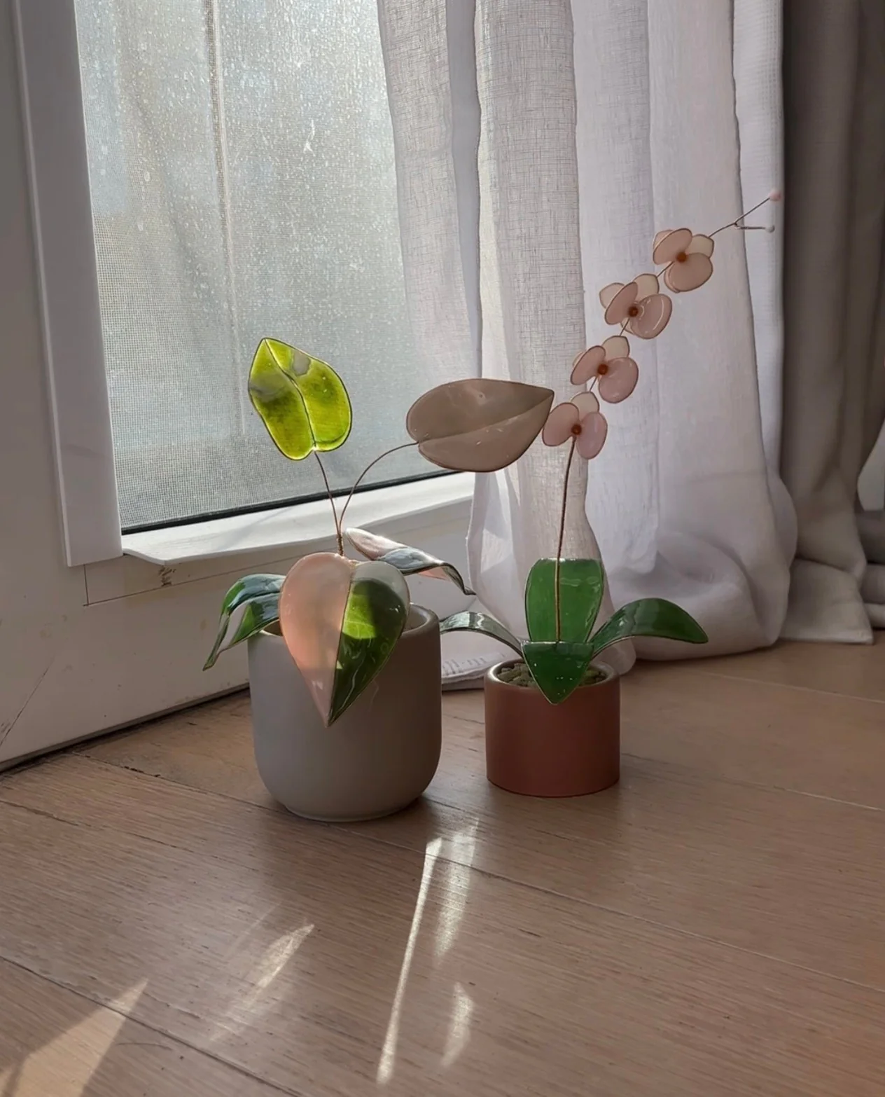 Pink Princess Philodendron Houseplant Set (uv reactive) | PREORDER - Image 9