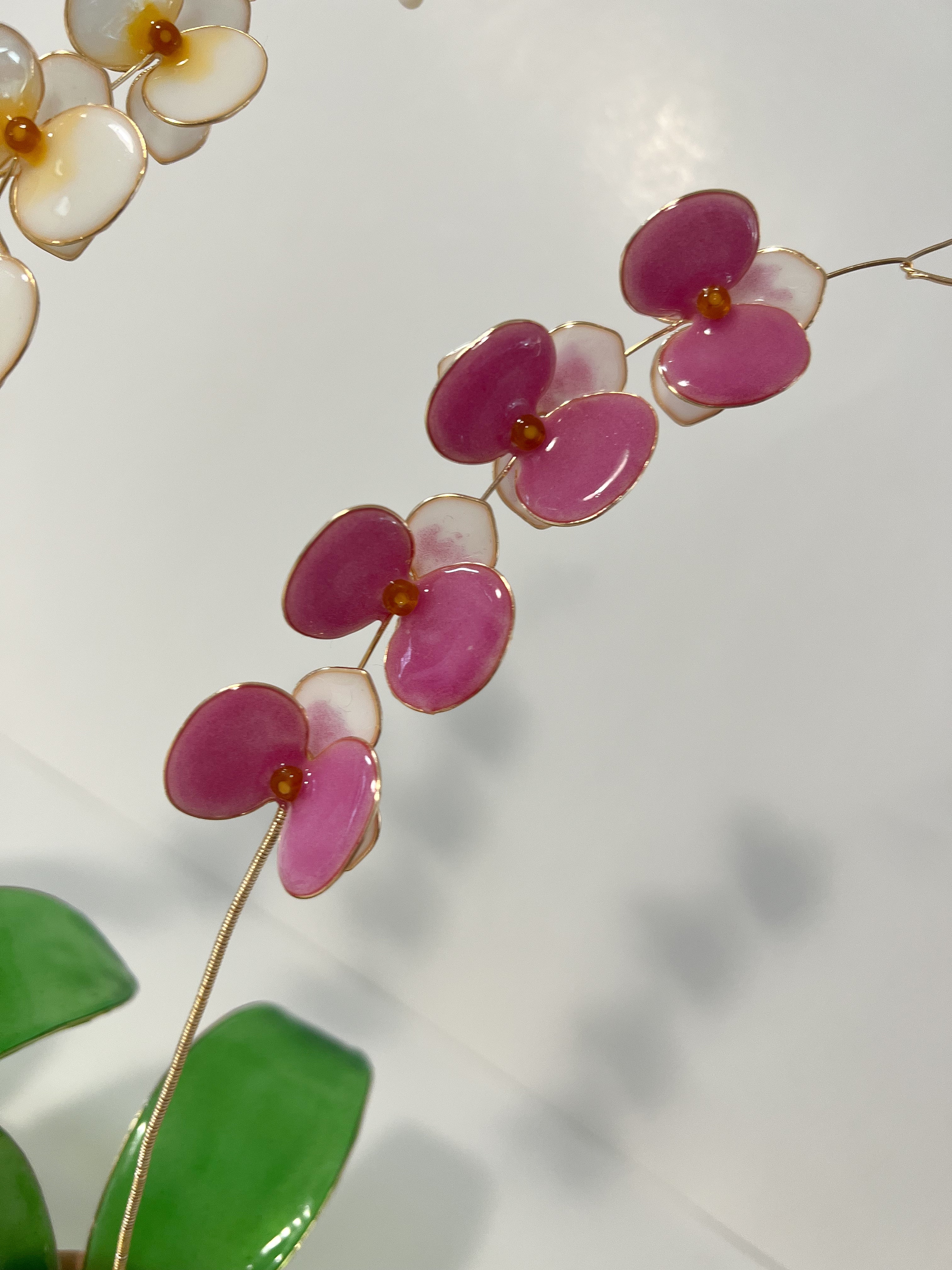 Orchid Houseplant Sets | PREORDER - Image 10