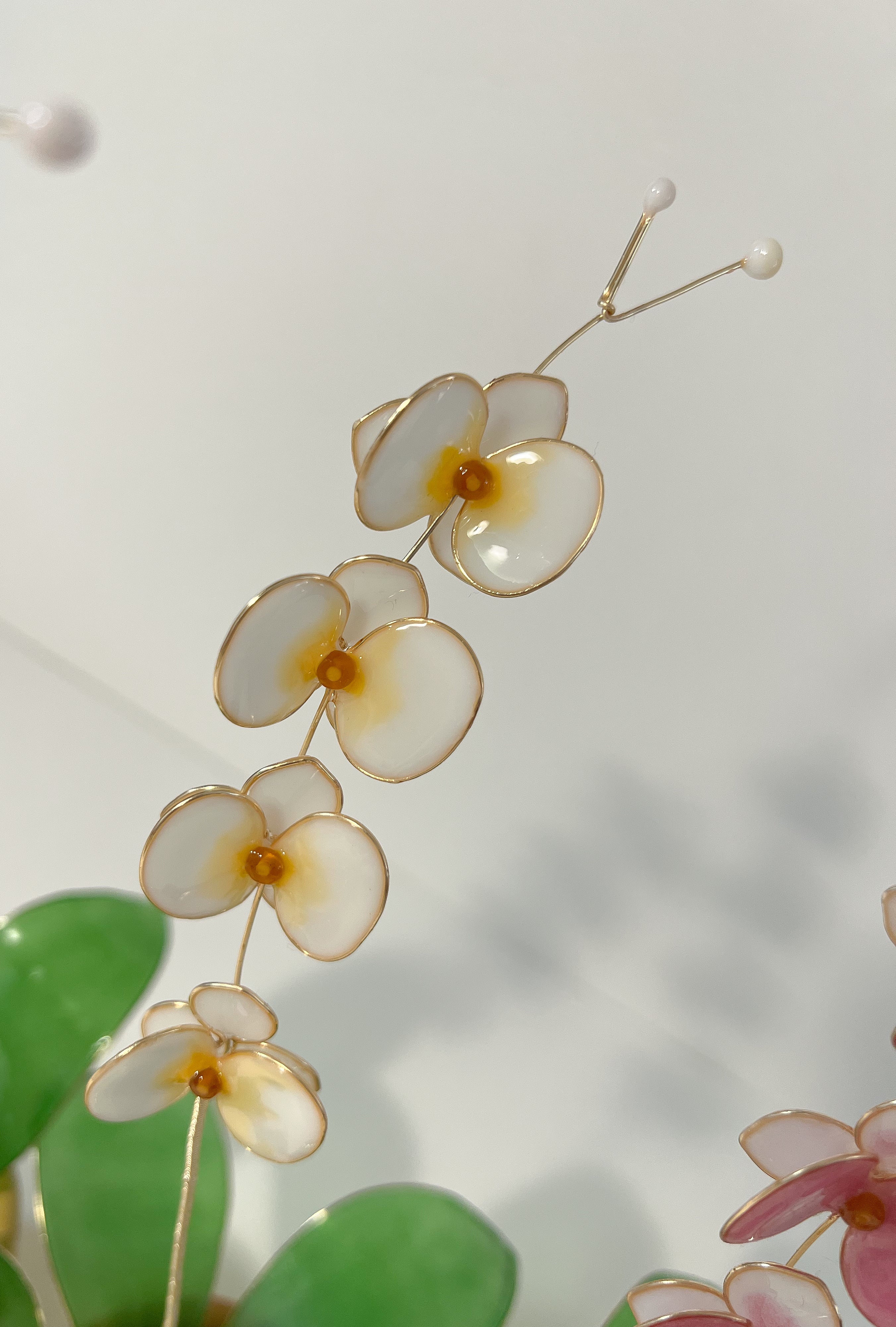 Orchid Houseplant Sets | PREORDER - Image 16