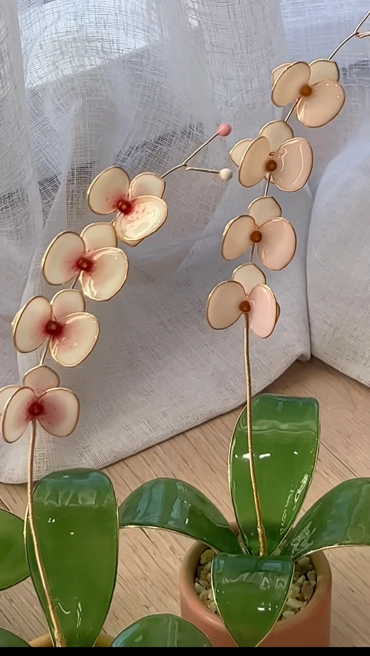 Orchid Houseplant Sets | PREORDER - Image 17