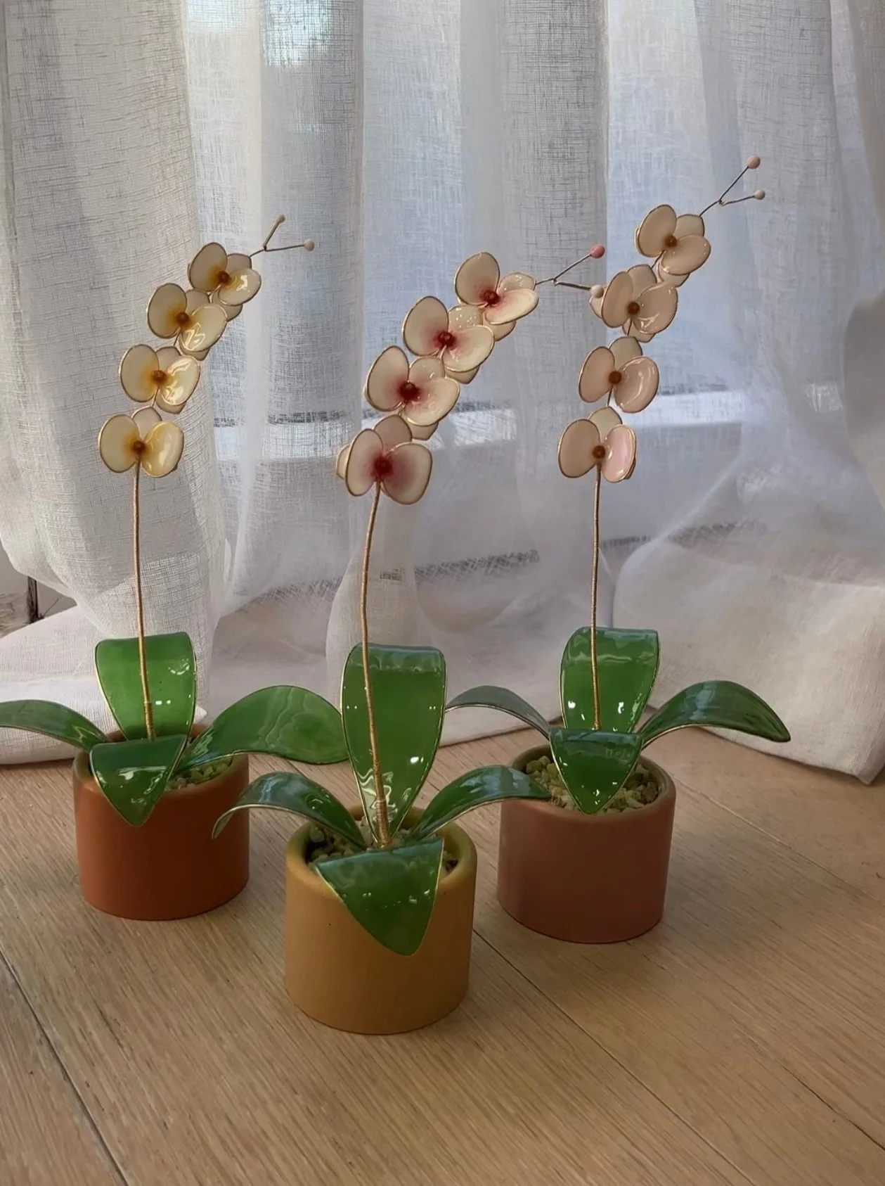 Orchid Houseplant Sets | PREORDER - Image 18