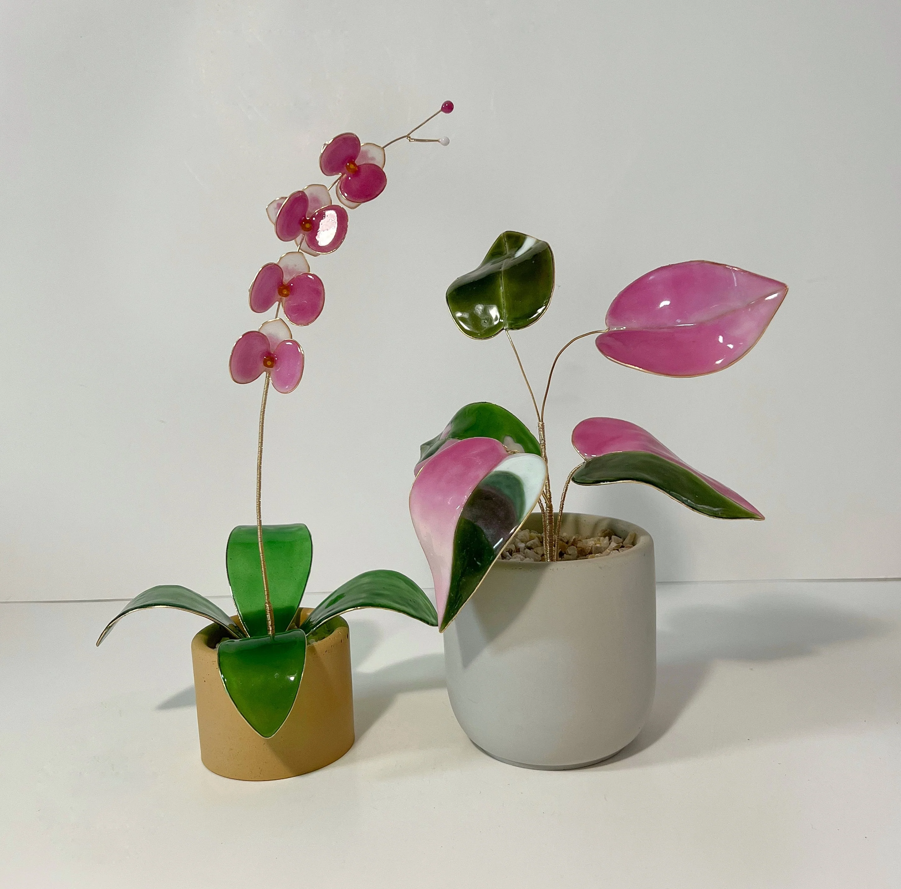 Orchid Houseplant Sets | PREORDER - Image 19