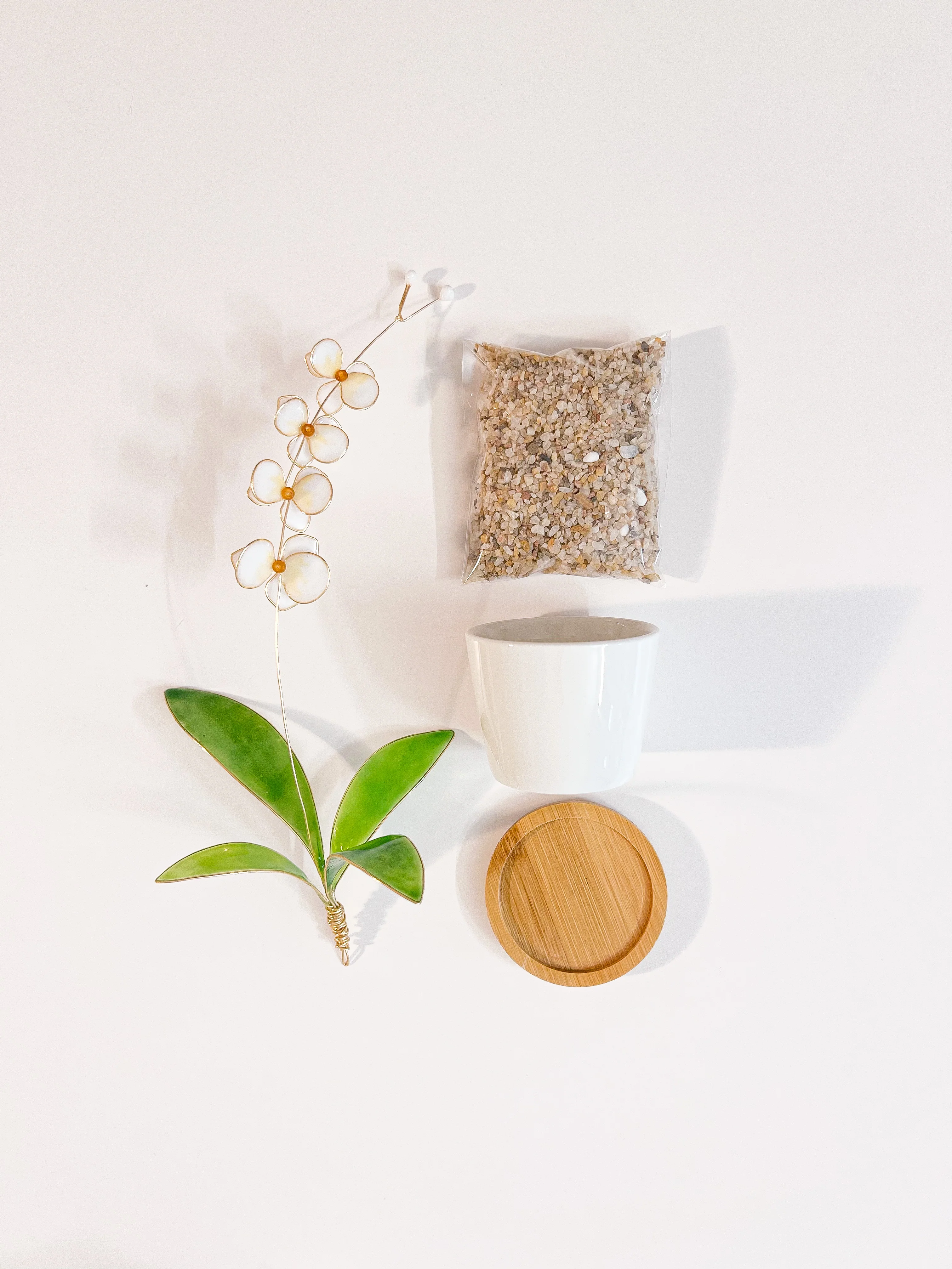 Orchid Houseplant Sets | PREORDER - Image 4