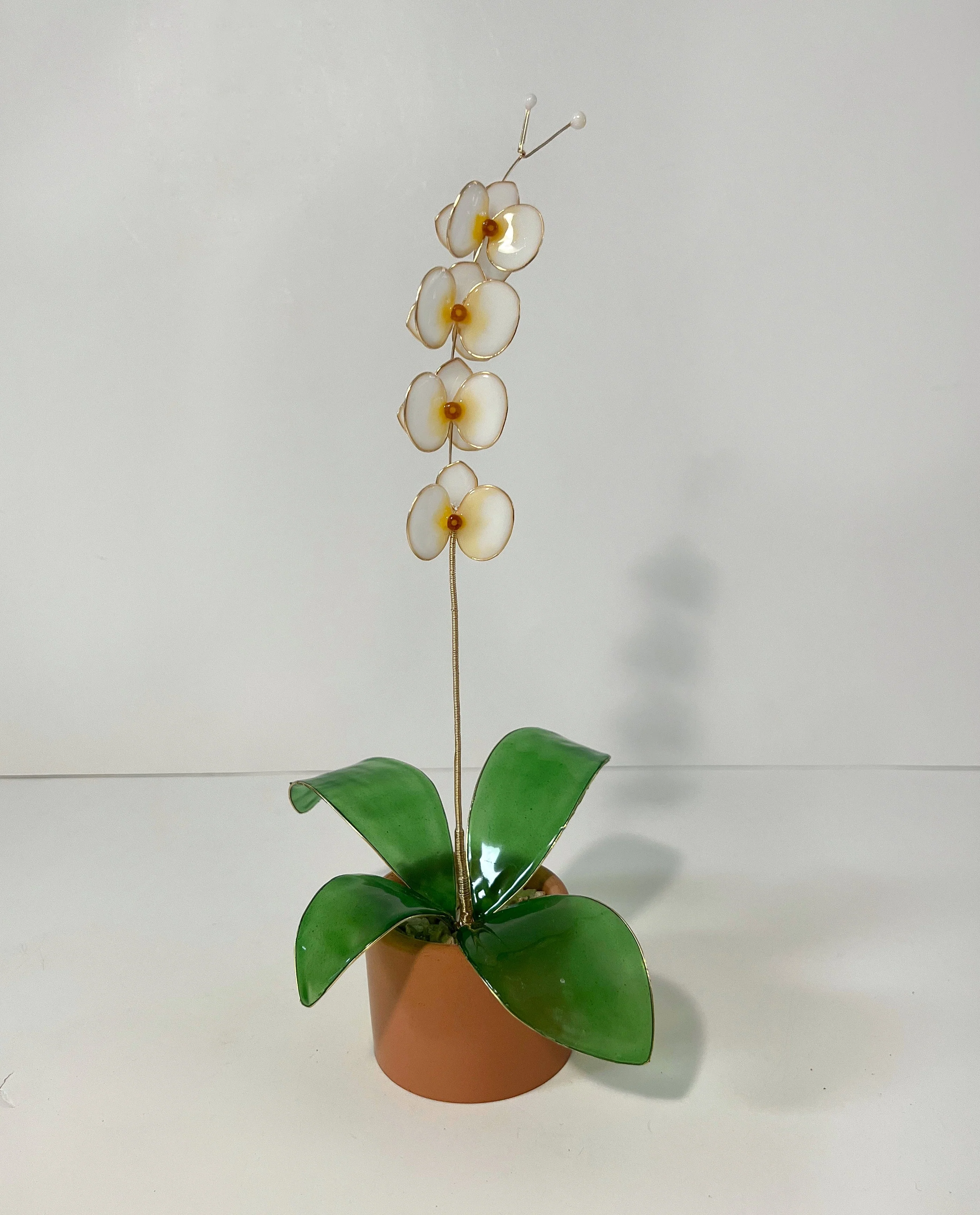 Orchid Houseplant Sets | PREORDER - Image 6