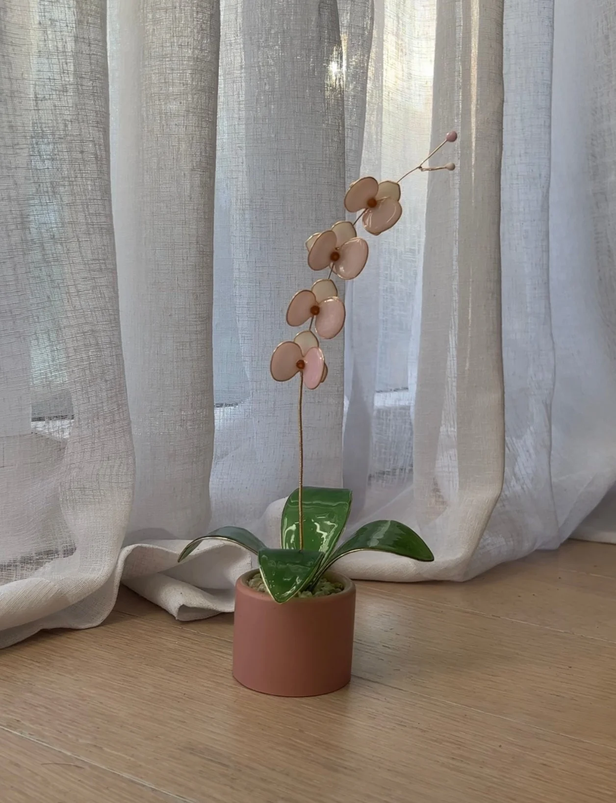 Orchid Houseplant Sets | PREORDER - Image 7