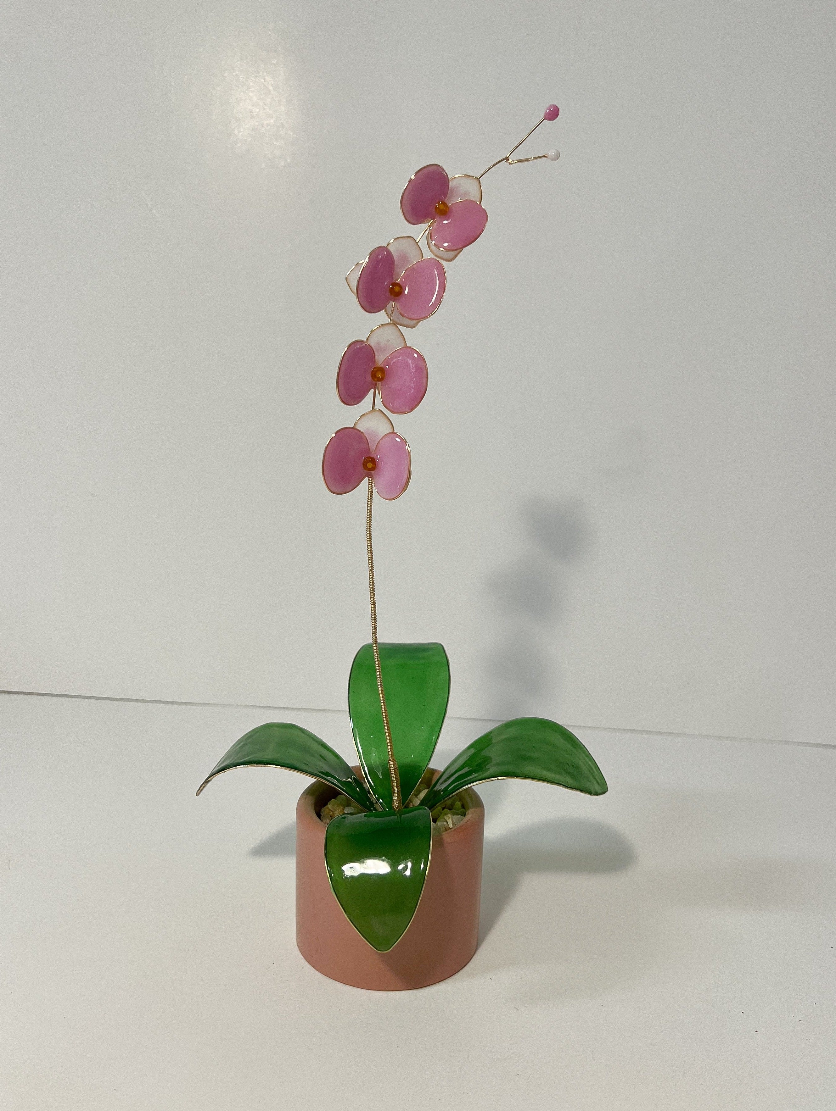 Orchid Houseplant Sets | PREORDER - Image 8