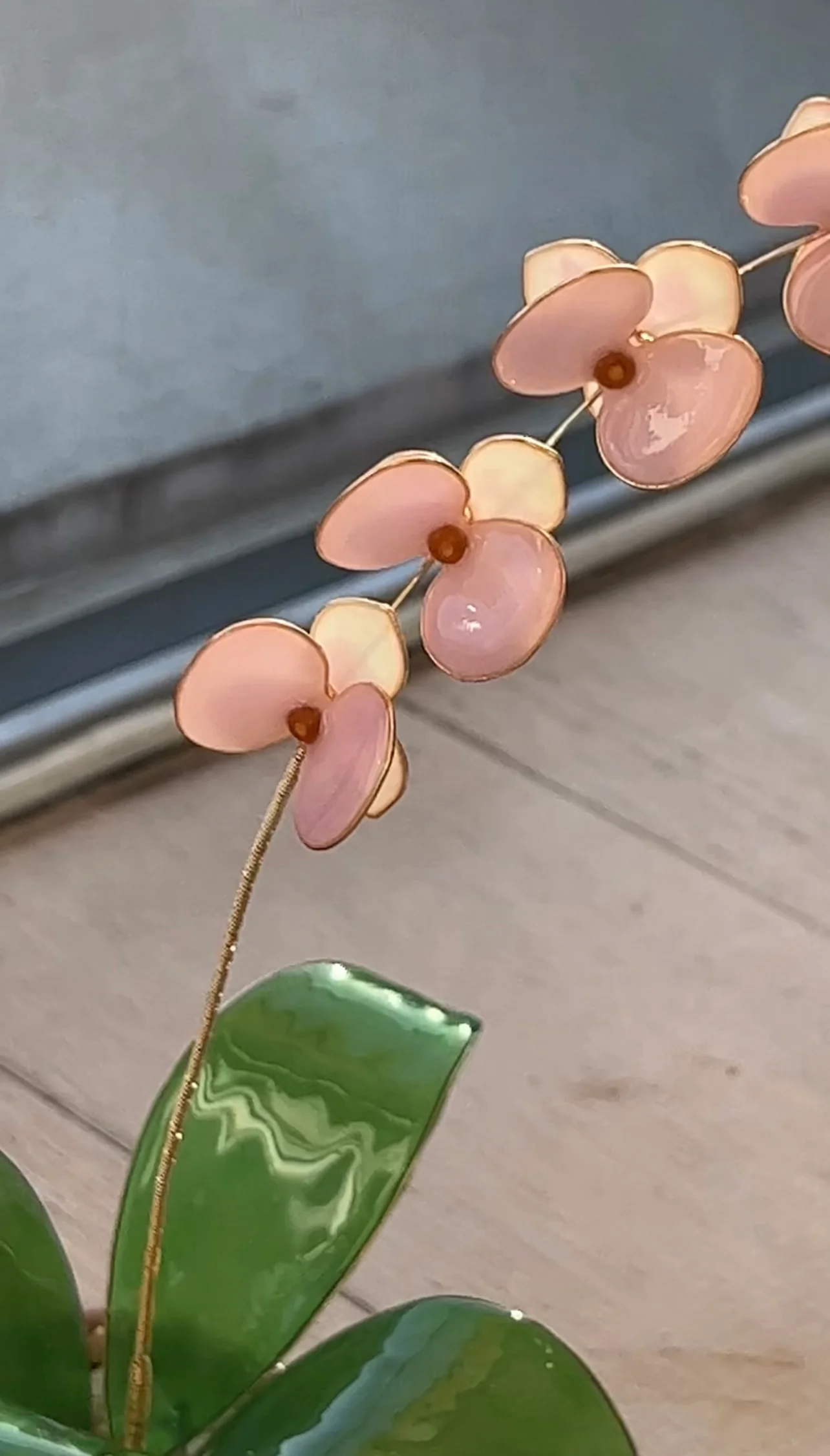 Orchid Houseplant Sets | PREORDER - Image 9