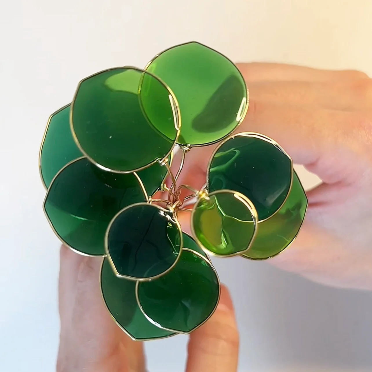 Pilea Houseplant Set | PREORDER - Image 3