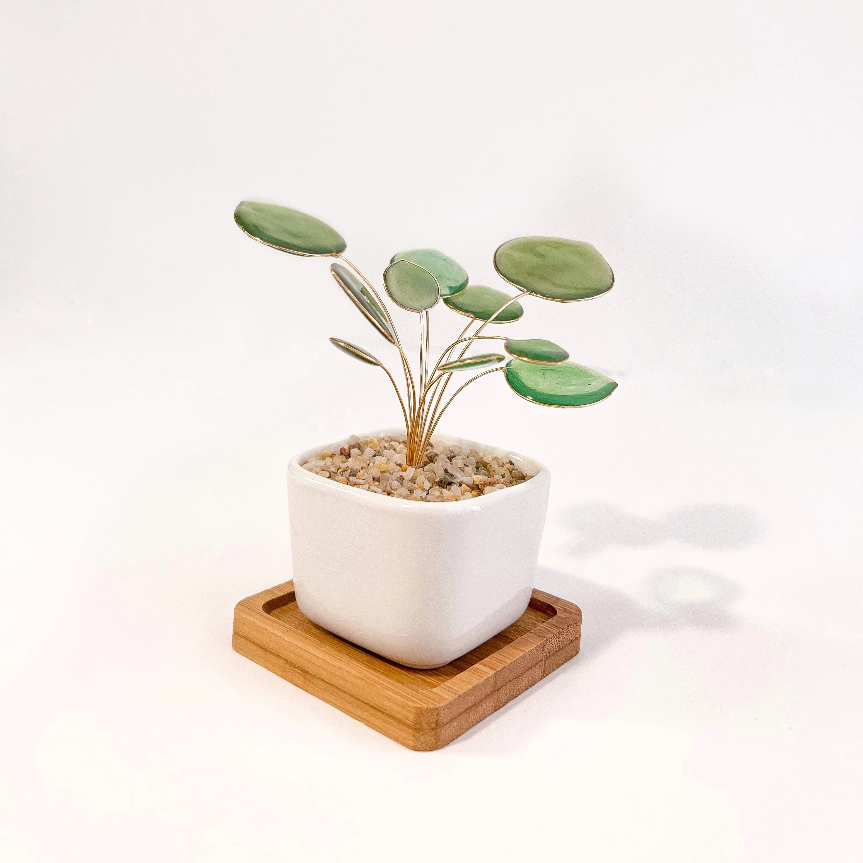 Pilea Houseplant Set | PREORDER - Image 5