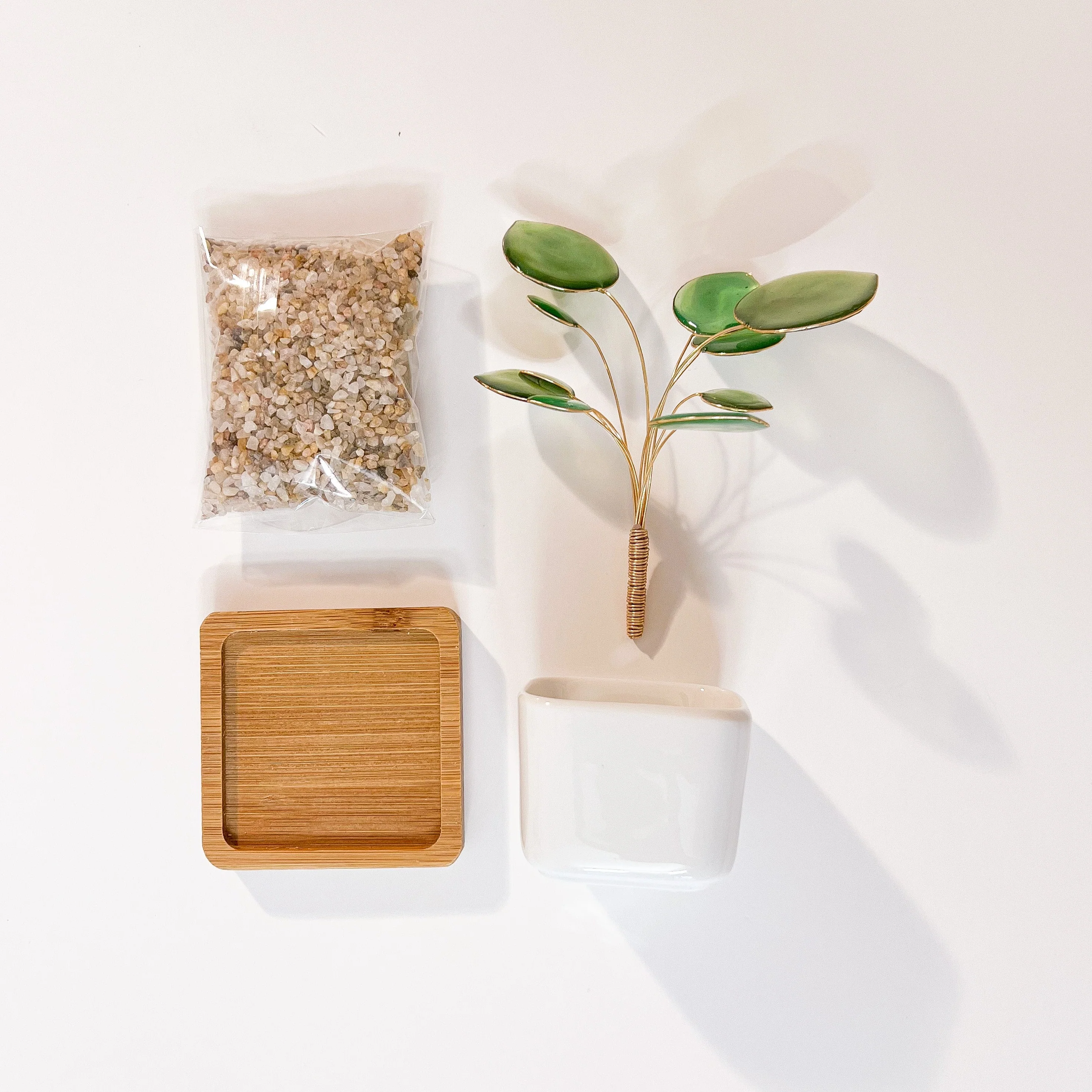Pilea Houseplant Set | PREORDER - Image 7