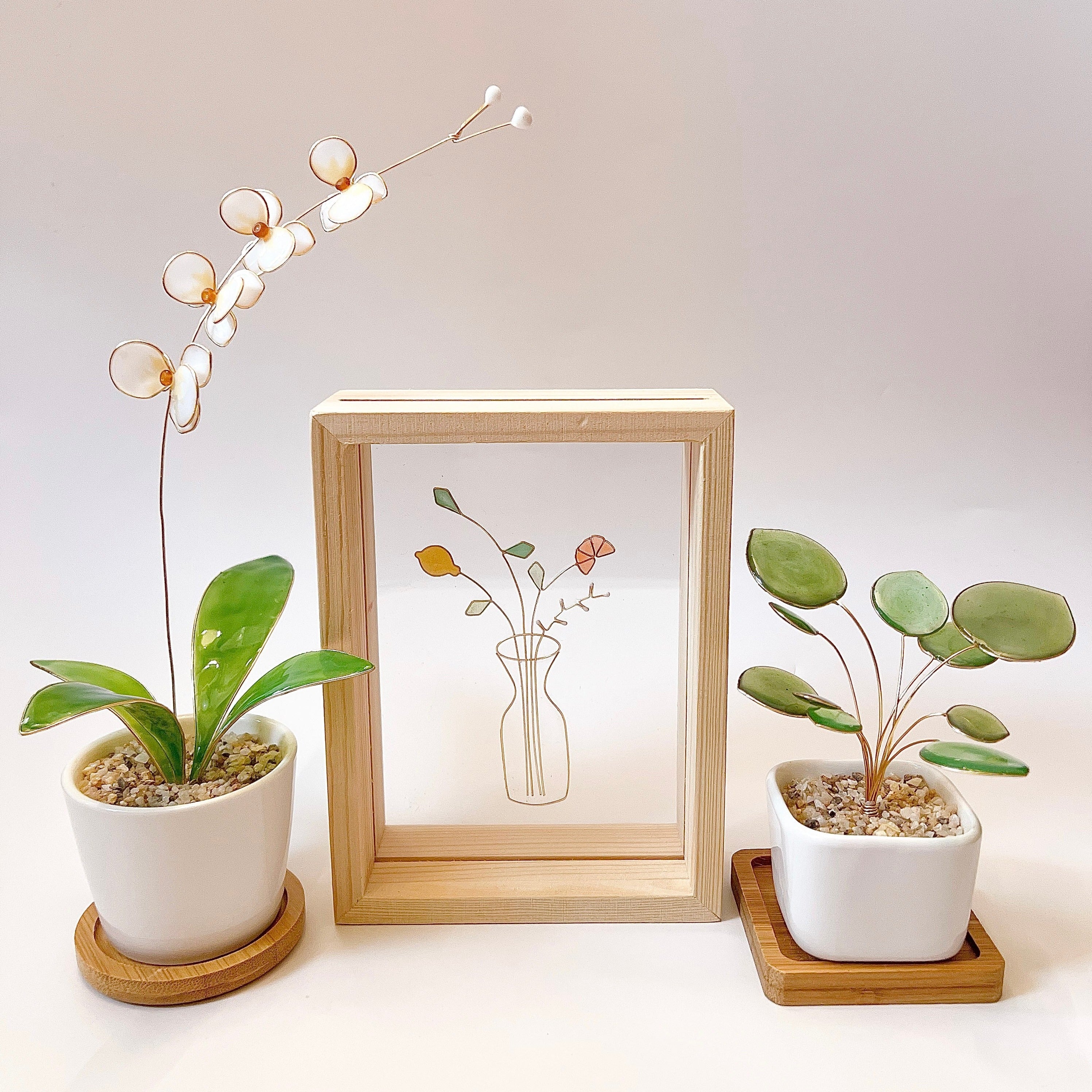 Pilea Houseplant Set | PREORDER - Image 9