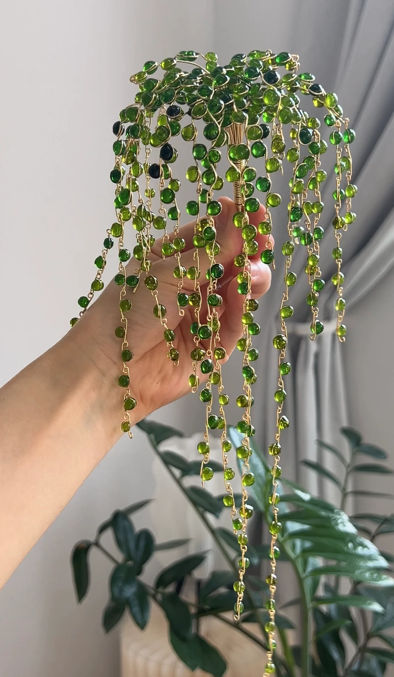String of Pearls Houseplant Set | PREORDER - Image 3