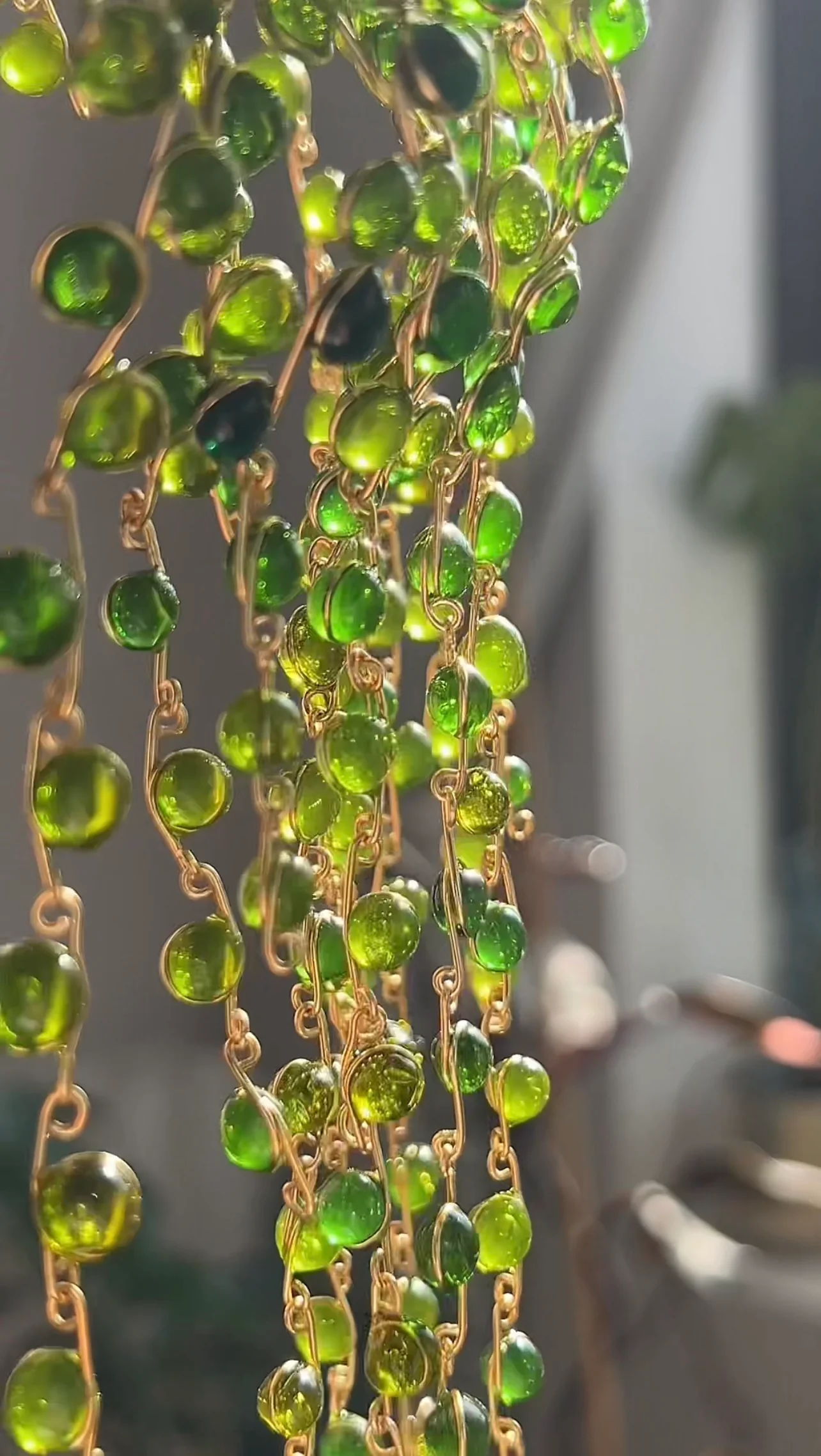 String of Pearls Houseplant Set | PREORDER - Image 6