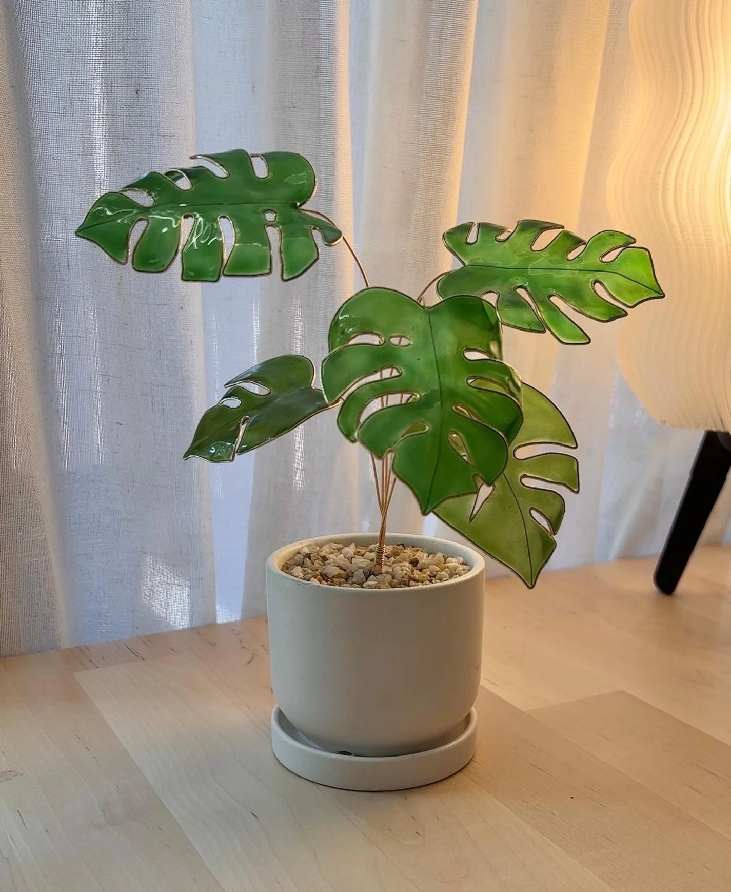 Monstera Houseplant Set | PREORDER - Image 10