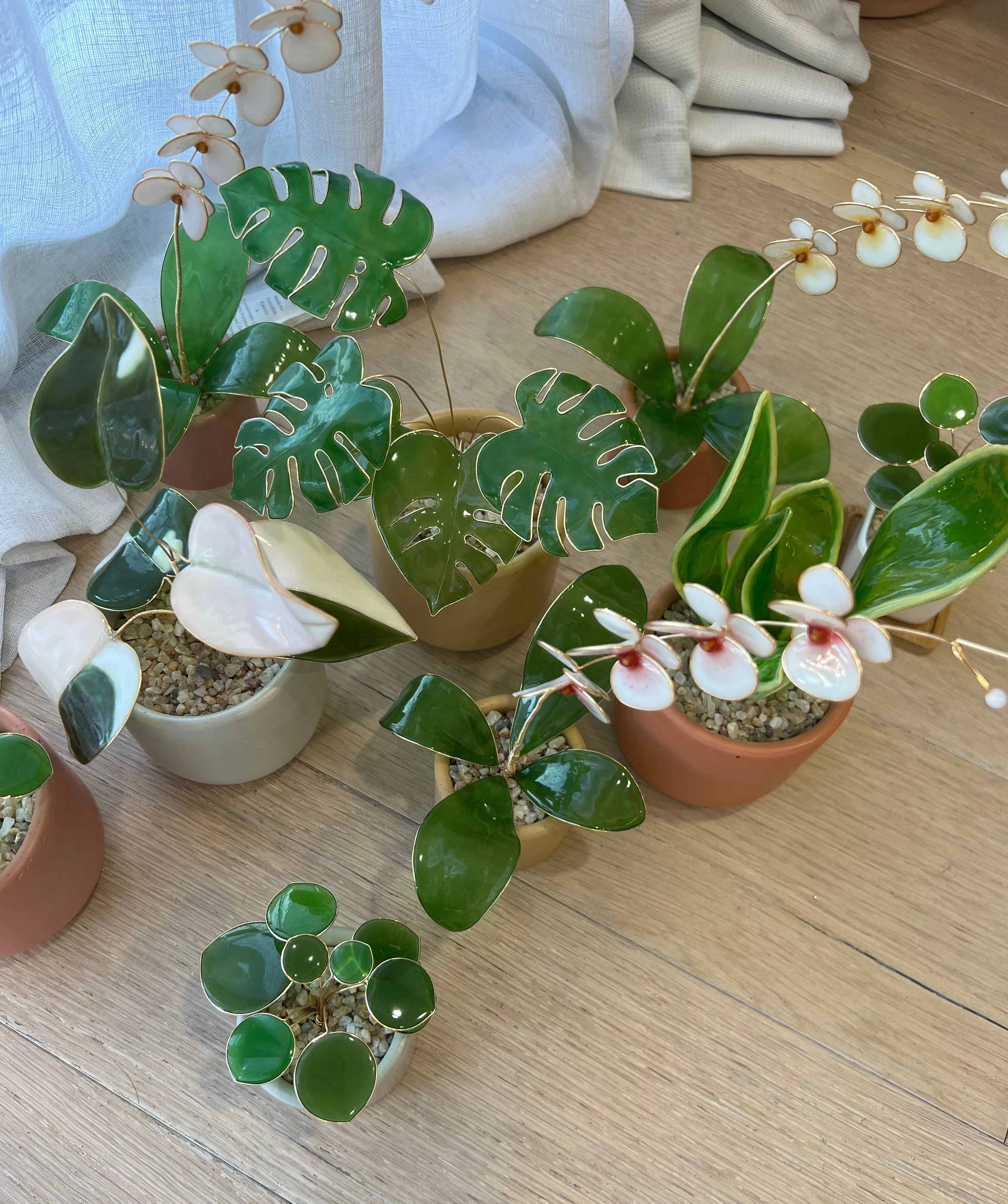 Monstera Houseplant Set | PREORDER - Image 11
