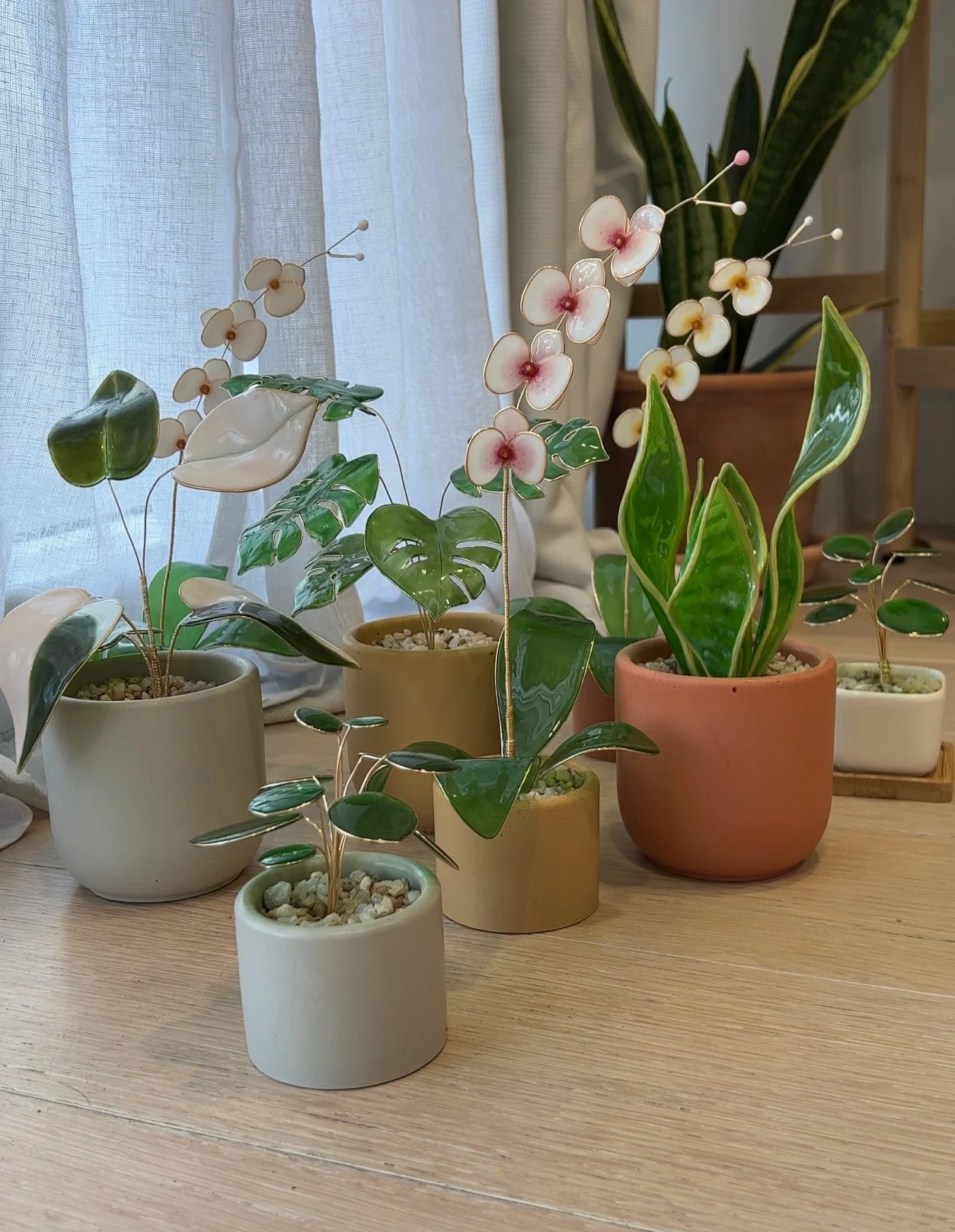 Monstera Houseplant Set | PREORDER - Image 12