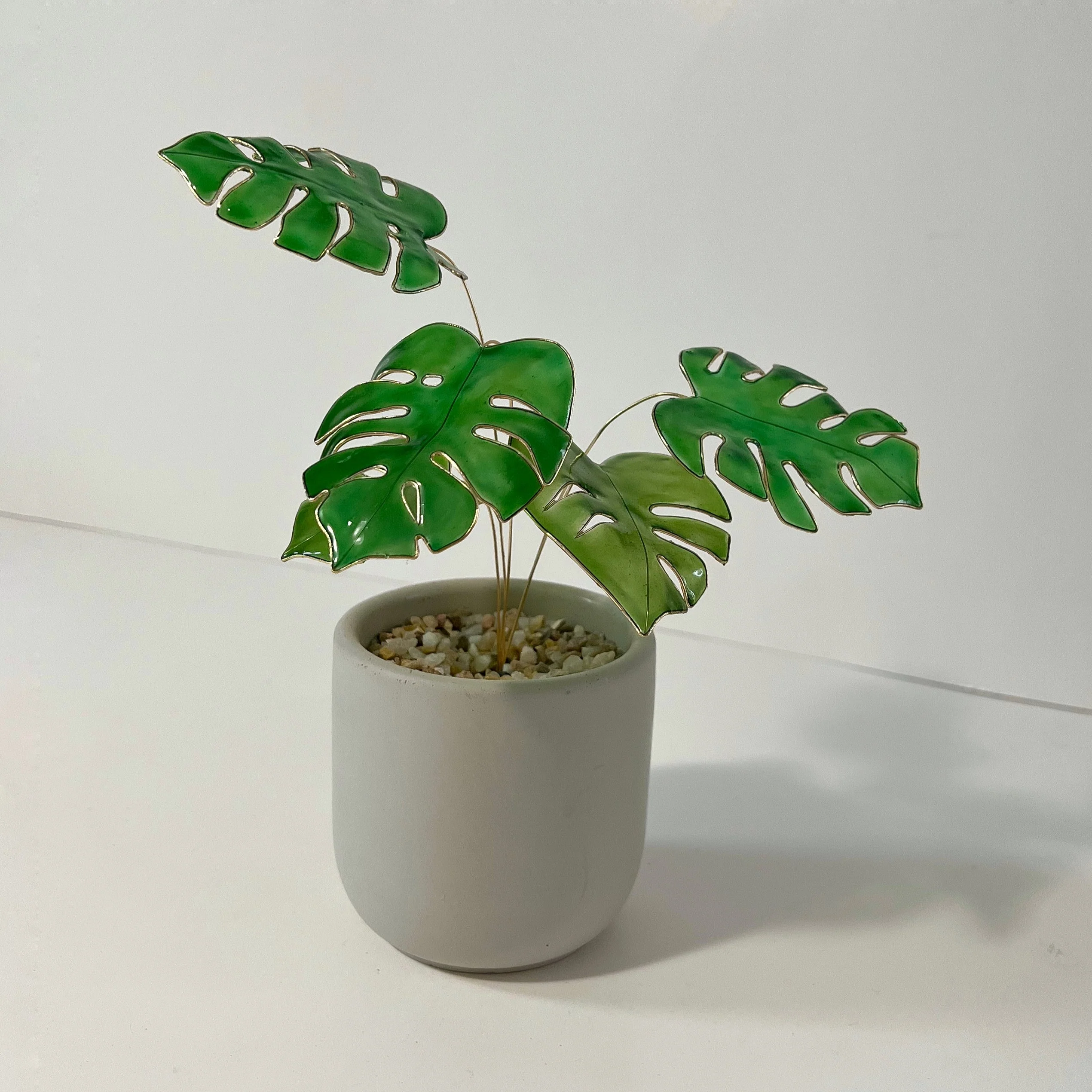 Monstera Houseplant Set | PREORDER - Image 6