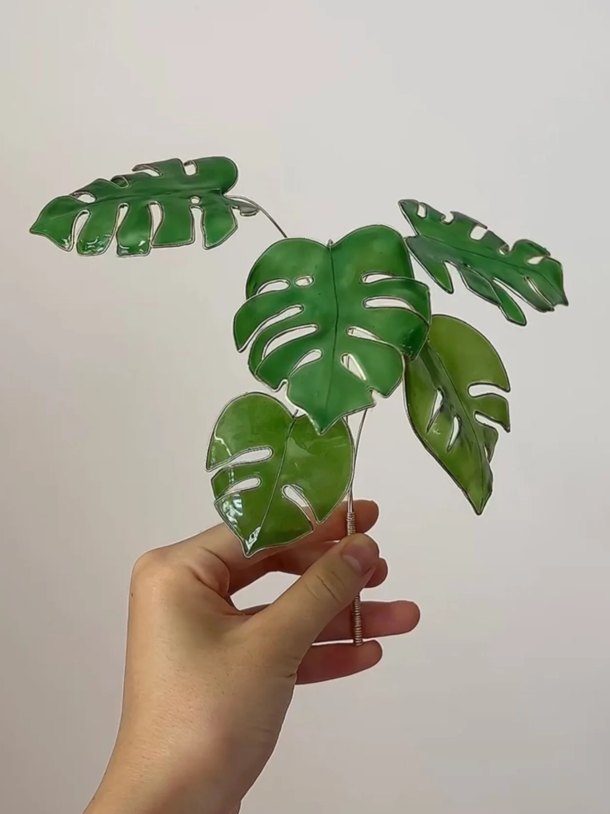 Monstera Houseplant Set | PREORDER - Image 7