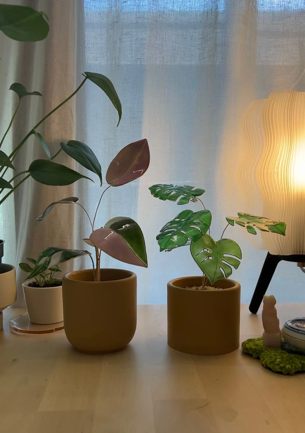 Monstera Houseplant Set | PREORDER - Image 9