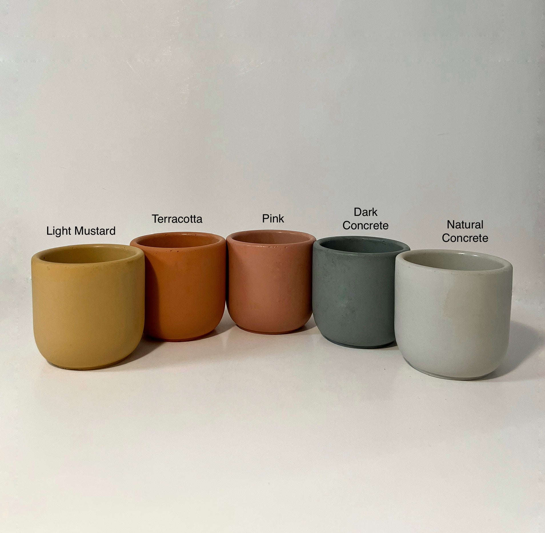 Snake Plant Houseplant Set | PREORDER - Image 10
