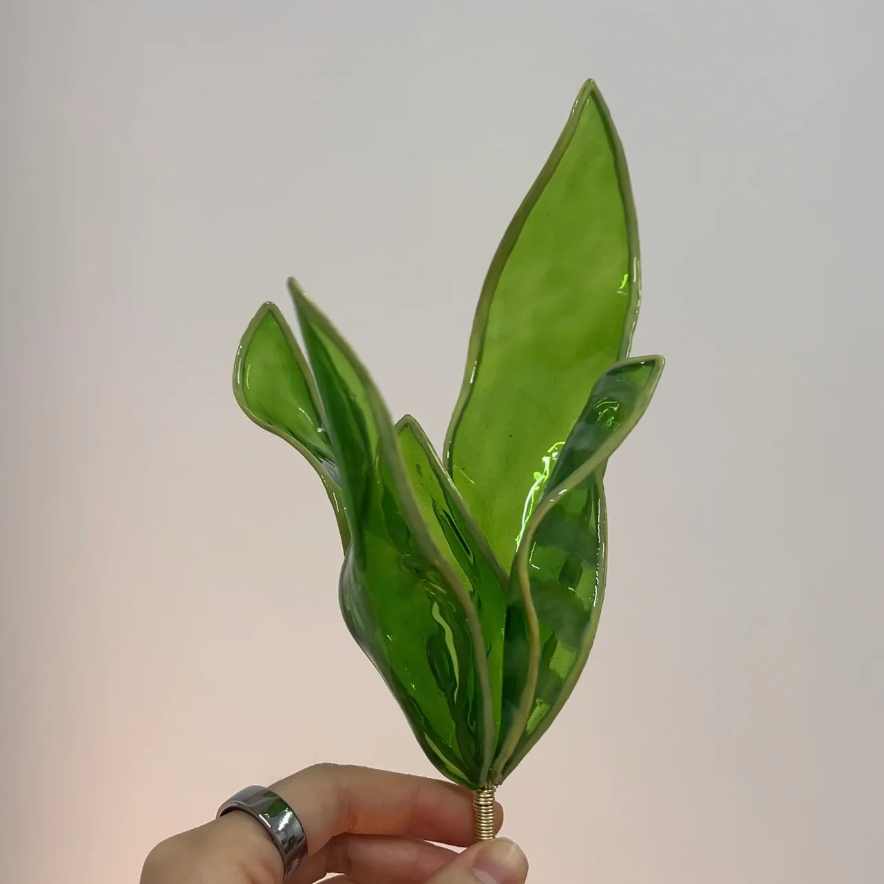 Snake Plant Houseplant Set | PREORDER - Image 3
