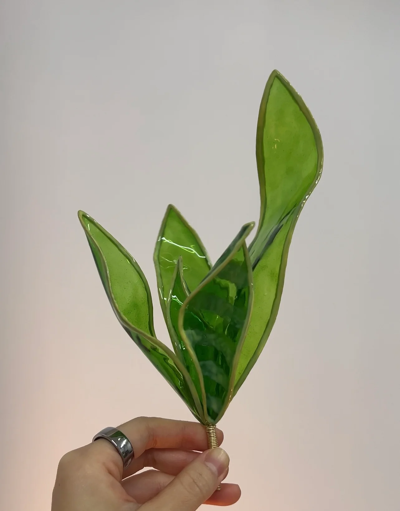 Snake Plant Houseplant Set | PREORDER - Image 4