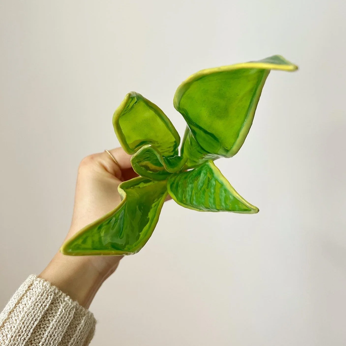 Snake Plant Houseplant Set | PREORDER - Image 5