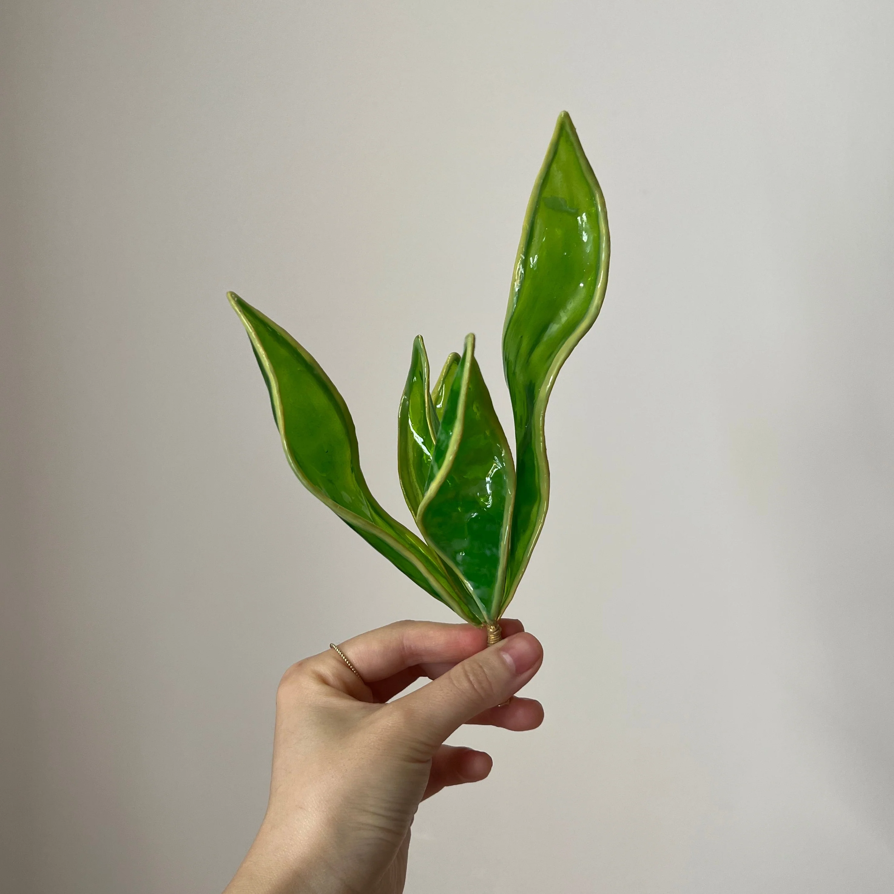 Snake Plant Houseplant Set | PREORDER - Image 6